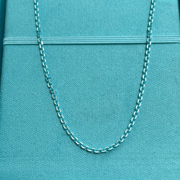 TIFFANY & CO "SPARKLER" BLUE ENAMEL COATED SILVER CHAIN/NECKLACE 100% AUTHENTIC - Picture 11 of 16